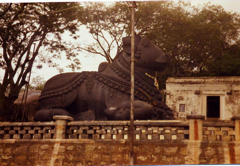NANDI